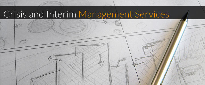 Crisis and Iterim Management Services